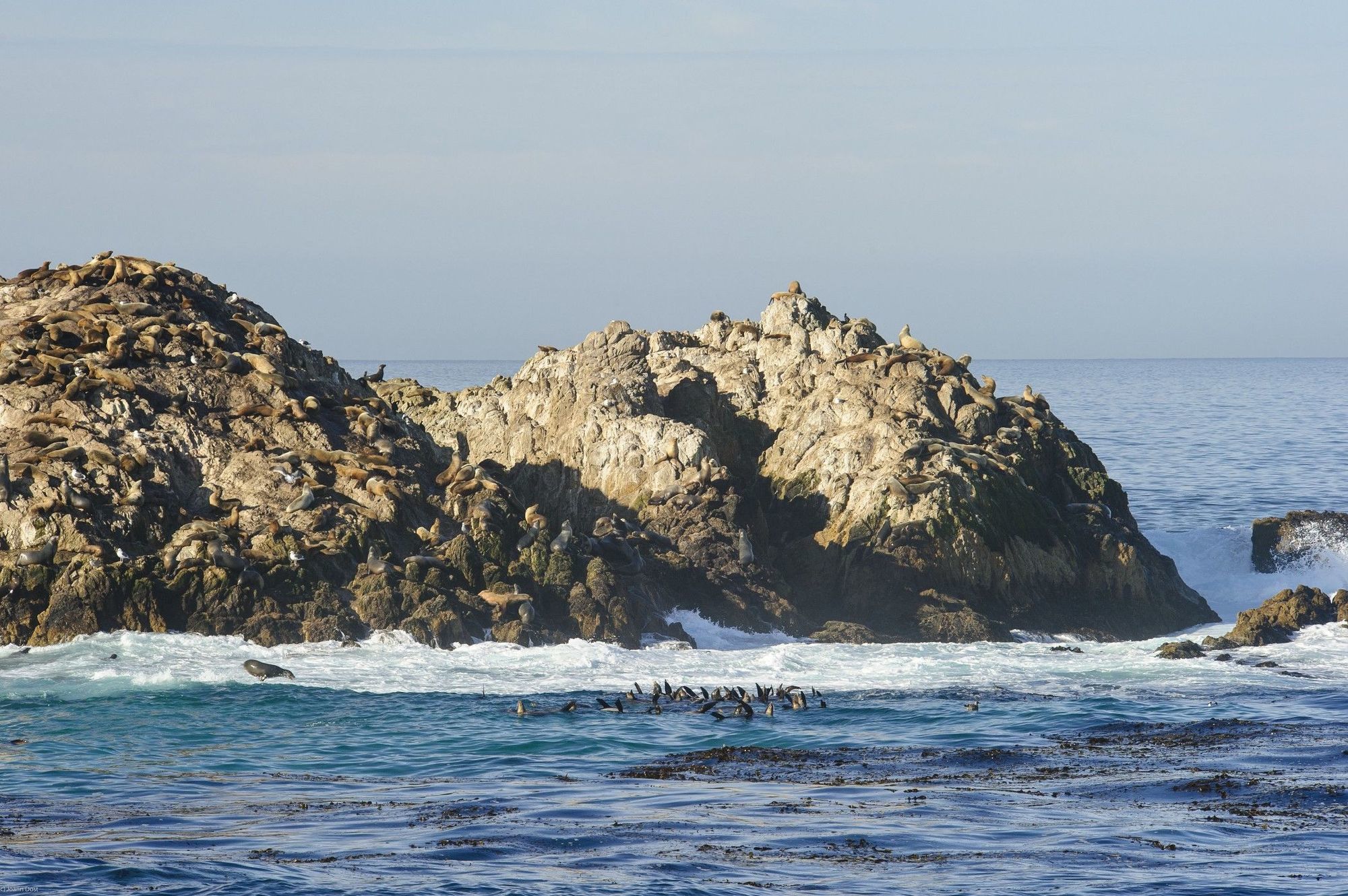 Inn At Spanish Bay Pebble Beach Esterno foto